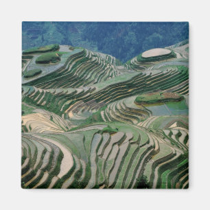 Íman Paisagem de terraços de arroz na montanha,