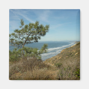 Íman Paisagem de Torrey Pine e Costa da Califórnia