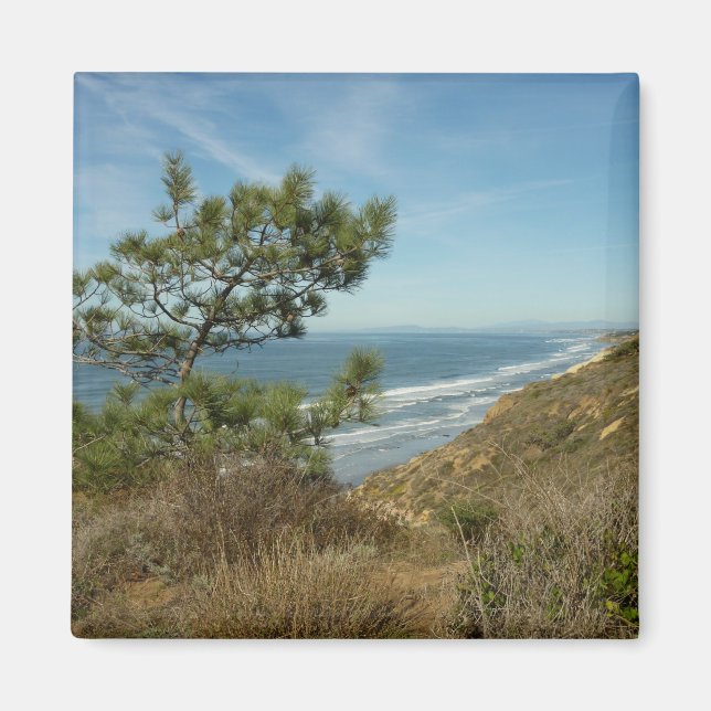 Íman Paisagem de Torrey Pine e Costa da Califórnia (Frente)