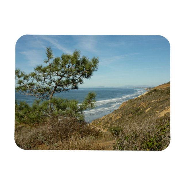 Íman Paisagem de Torrey Pine e Costa da Califórnia (Horizontal)