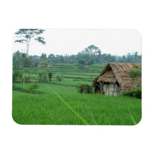 Íman Paisagem de Vietnam