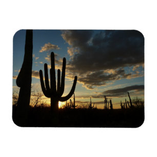 Íman Paisagem do Deserto de Arizona Saguaro Sunset II