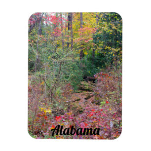 Íman Paisagem do outono de Alabama
