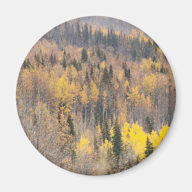 Íman Paisagem Florestal de Outono Dourado (Frente)