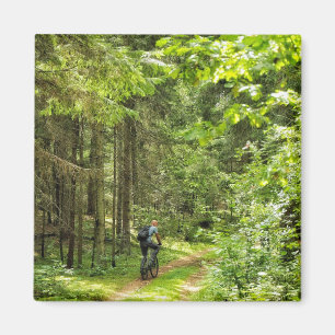 Íman Paisagem Natural Cenário Florestal da Bielorrússia