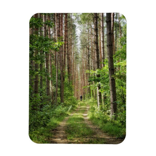 Íman Paisagem Natural Cenário Florestal da Bielorrússia (Vertical)