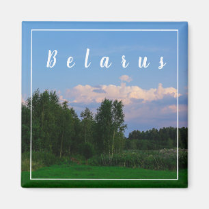Íman Paisagem Natureza Floresta Floresta Bielorrússia M