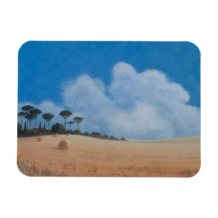 Íman Paisagem perto de Paganico 2012