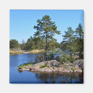 Íman Paisagem sueca