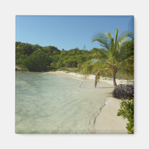 Íman Paisagem tropical bonita de antiguan Beach