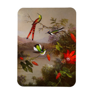 Íman Paisagem tropical com dez beija-flores