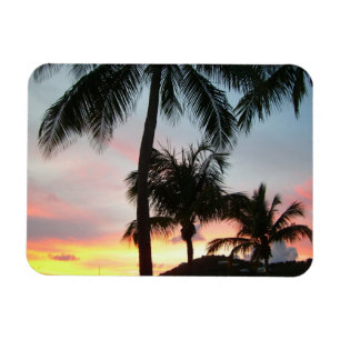 Íman Paisagem Tropical de Palms Sunset Fotografia
