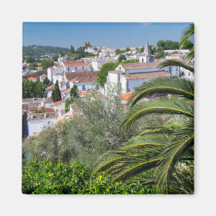 Íman paisagem urbana de Aveiro, Portugal