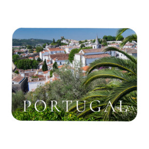 Íman paisagem urbana de Aveiro, Portugal