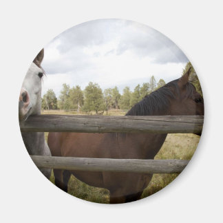 ÍMAN PAISAGENS DO PAÍS