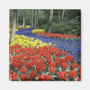 Íman Países Baixos, Holanda, Lisse, Jardins Keukenhof