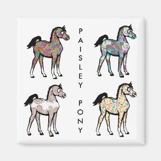 Íman Paisley Pony Magnets