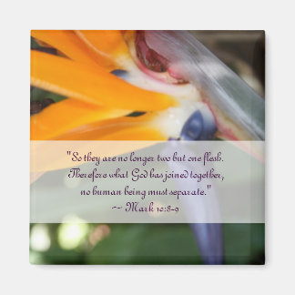 Íman Paixão no Favor do Casamento Cristão no Paraíso