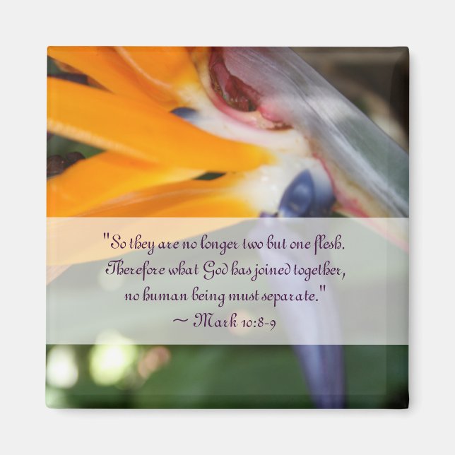 Íman Paixão no Favor do Casamento Cristão no Paraíso (Frente)