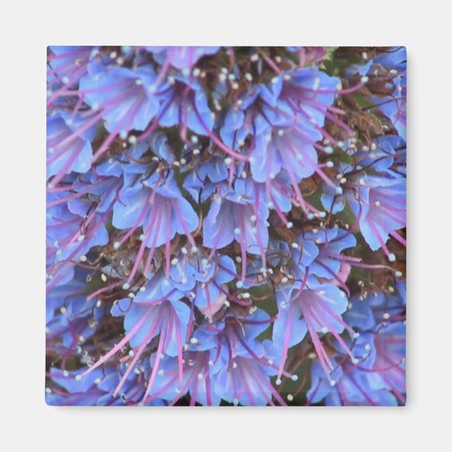 Íman Paixão Roxo (Frente)