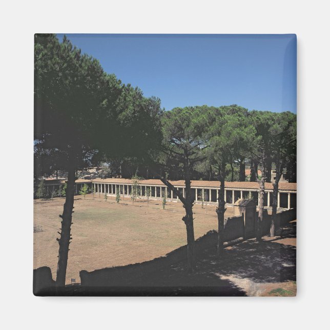 Íman Palaestra Excelente (Frente)