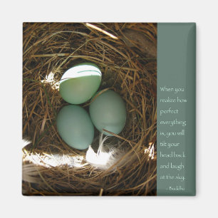 Íman Palavras de Buddha da sabedoria