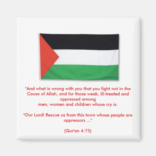 Íman PalestineFlagBig08, "E o que há de errado com você (Frente)