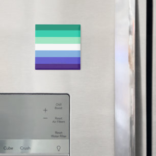 Íman Paleta da bandeira de homens gays trans-inclusivos