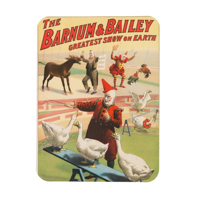 Íman Palhaços Com Geese, Roosters E Donkey. (Vertical)