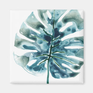 Íman Palm de Joias Tropicais