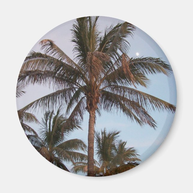 Íman Palm Fica Louco (Frente)