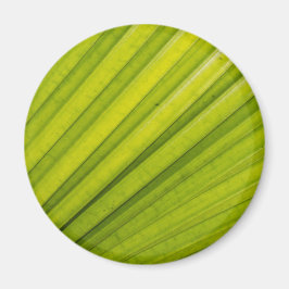 Íman Palm Leaf