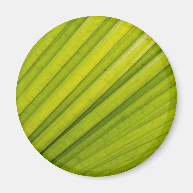 Íman Palm Leaf (Frente)