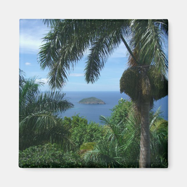 Íman Palm Magnet (Frente)