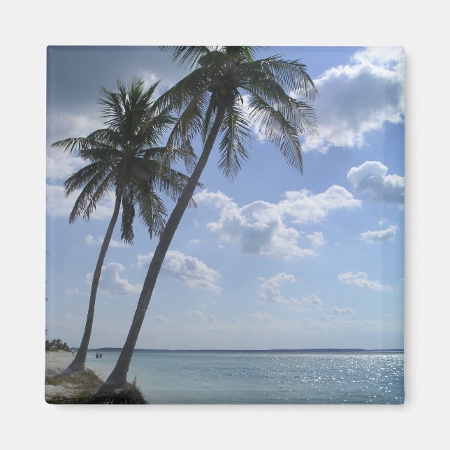 Íman Palm Magnet 2 (Frente)