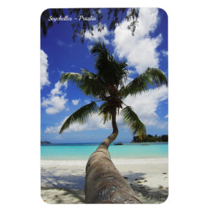 Íman Palm na Ilha das Seicheles, Praslin