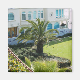 Íman Palm na Oceanside CA