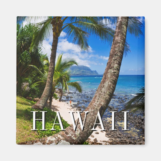 Íman Palm Trees Ao Longo Da Praia De Hideaways (Frente)