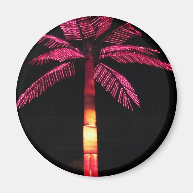 Íman Palma Elétrica (Frente)