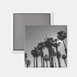 Íman Palmas do Oceano de Verão - Fotografia Branca e Pr