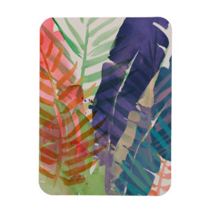 Íman Palmas Elétricas