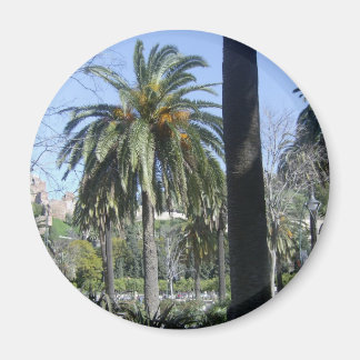 Íman Palmas em Málaga