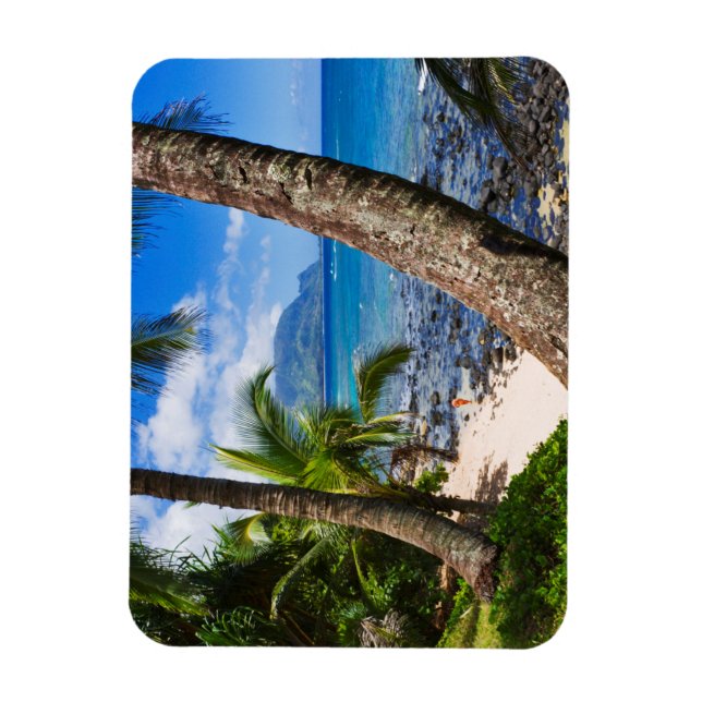 Íman Palmeiras ao longo da Praia Hideaways (Vertical)