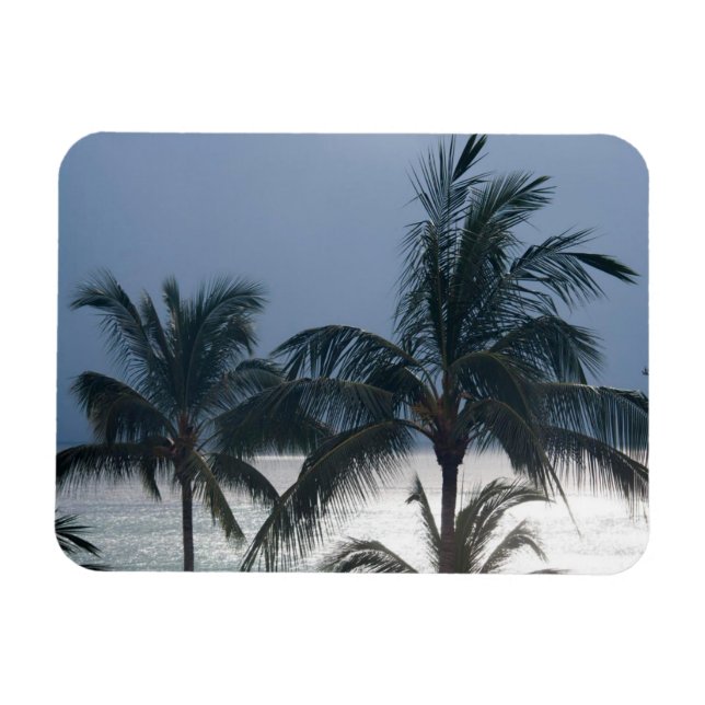 Íman Palmeiras Na Praia (Horizontal)