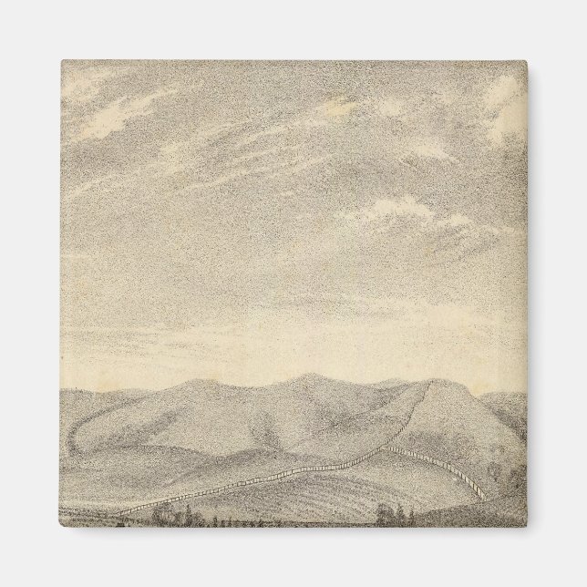 Íman Palmer res, vinha (Frente)