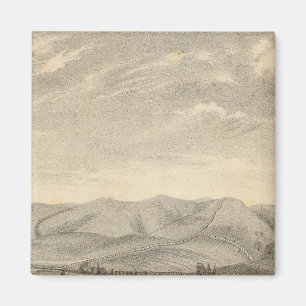 Íman Palmer res, vinhas