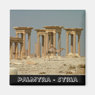 Íman Palmyra, tesouros da Síria nº 3 (Imã de geladeira)