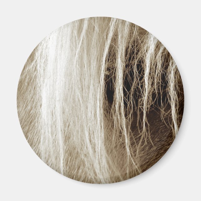 Íman Palomino na Sépia (Frente)