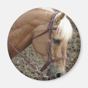 Íman Palomino Ocidental