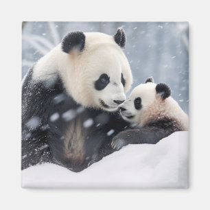 Íman Panda Animal Wilderness Beauness Freedom Love